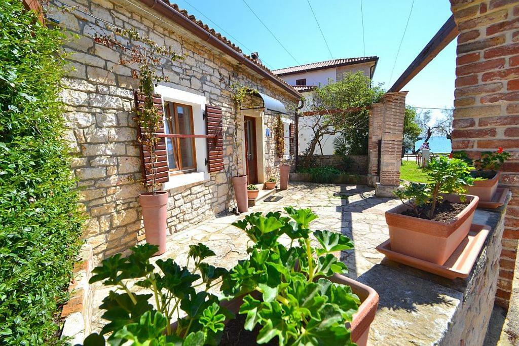 Villa Giardin Novigrad  Exterior photo
